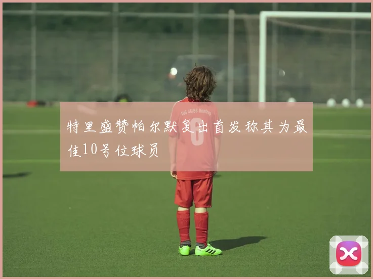 特里盛赞帕尔默复出首发称其为最佳10号位球员