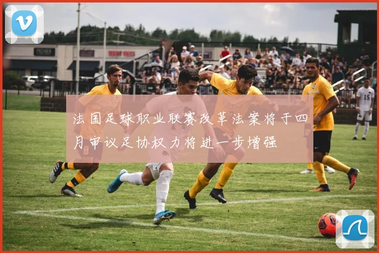 法国足球职业联赛改革法案将于四月审议足协权力将进一步增强