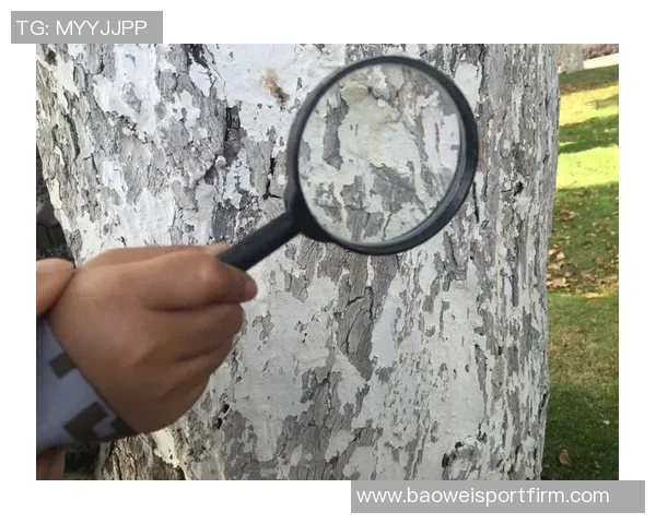 为何在太阳的探索中未能取得突破性进展弩机表示应向领导询问原因